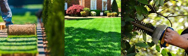 Cato's Tree & Lawn Care Services
