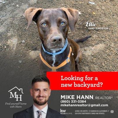 Mike Hann - Keller Williams Realty