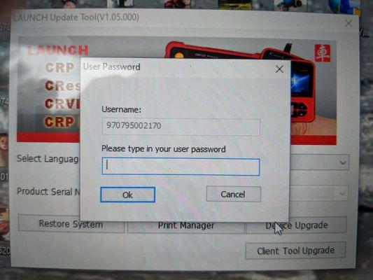 Southern Trade Emporium