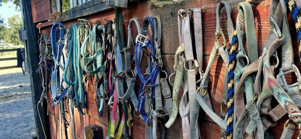 Just horse'n around riding stable