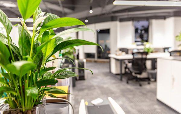 Higher Standard Cleaning Group