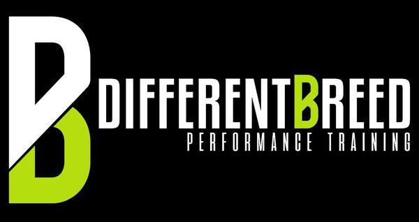 Different Breed Perfomance Training