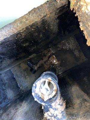 Tom's Septic Tank Service