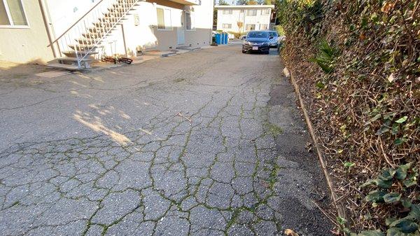 Sunnyvale Asphalt Co.