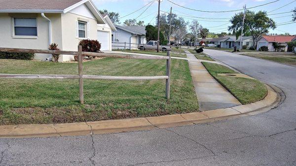 Shawn Green's Tree Service