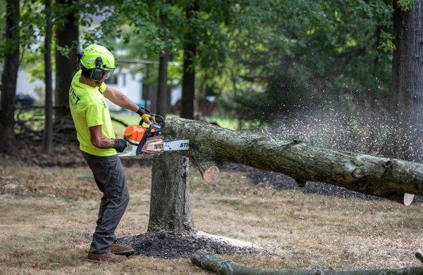 Swift Tree Service