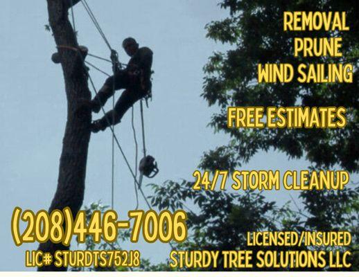 Sturdy Tree Solutions