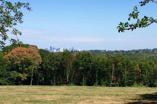 Boston Skyline peeking out behind the tree line