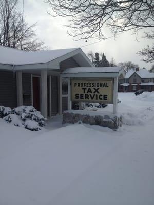 Professional Tax Service
