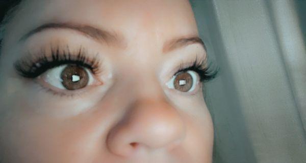 These are three days old now I just love them