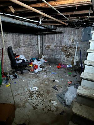 Next Chapter Cleanouts