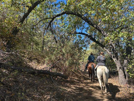 Sacred Mountain Julian