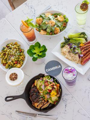 Dinner at RhuBAR | Kitchen & Cocktails in Burbank