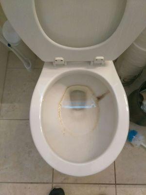 Monica's House Cleaning