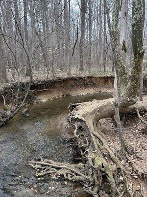 Johnston Mill Nature Preserve