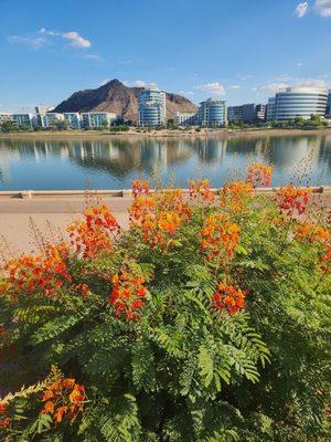 Another beautiful photo of TTL