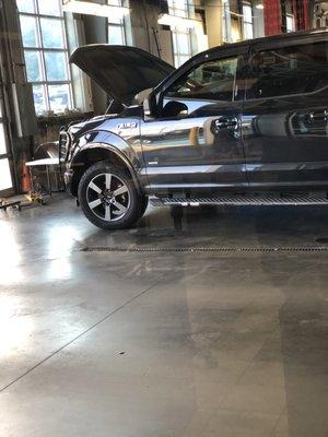 Legacy Ford