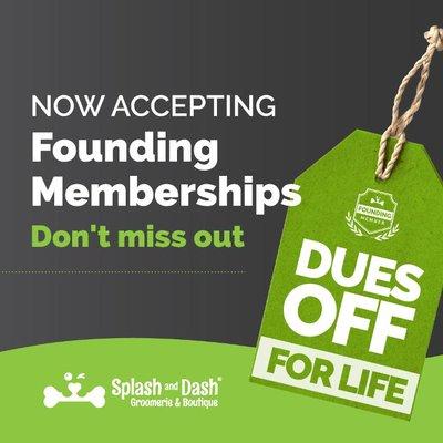 Splash and Dash Groomerie & Boutique