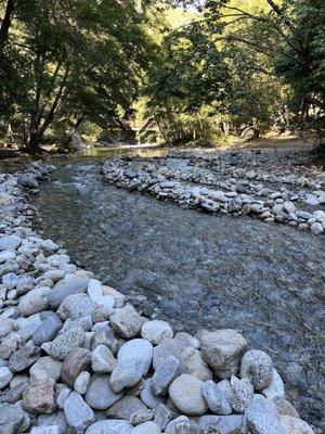 Fernwood Resort Bar & Grill