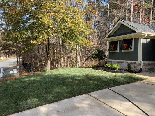 Mikes Lawn Care & Home Repair