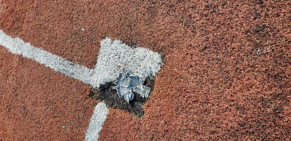 Turf Repair