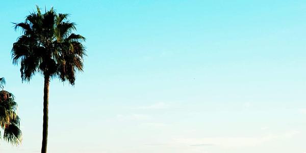 Law Office of Andrea R Herman PC