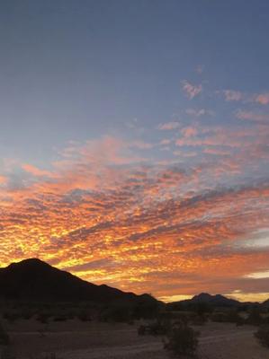 Hadlock's Shady Spot RV Park