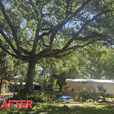 Crusader Tree Service And Property Maintenance