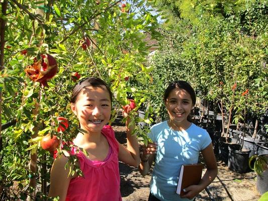 Middle School gardening at Veggielution