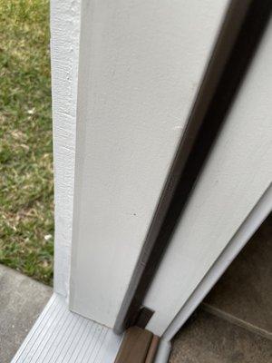 Repaired door from termite damage