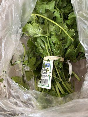 My pick up order with gross cilantro