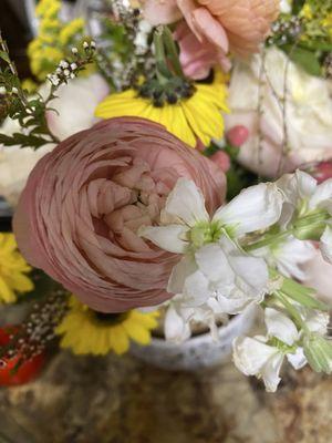 Black Mountain Blooms