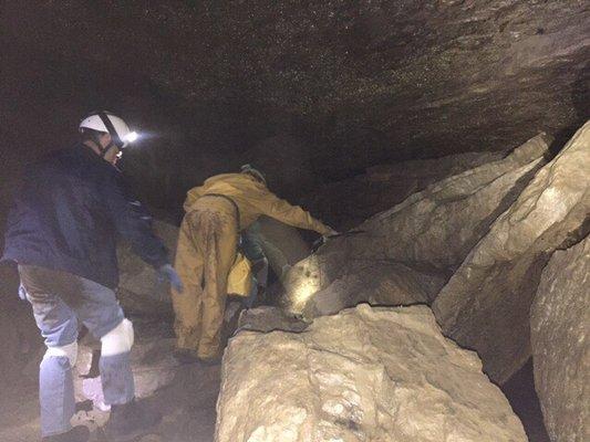 Clarksville Cave Preserve