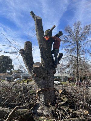 Leo’s Landscape Development and Lawn Maintenance