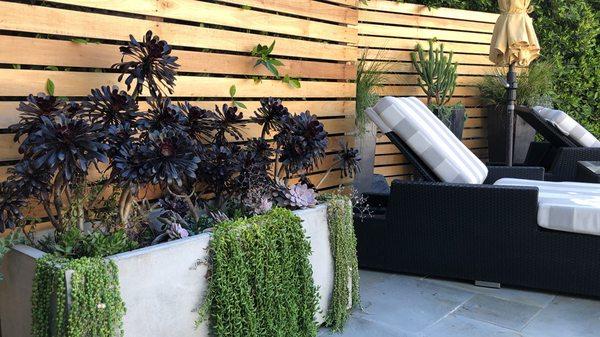 Salvador Sales Landscape