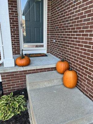 Lucas Nursery & Landscaping Inc