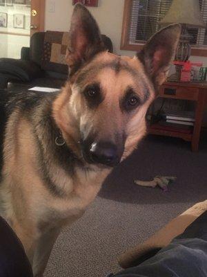 Jake, my beautiful Boy