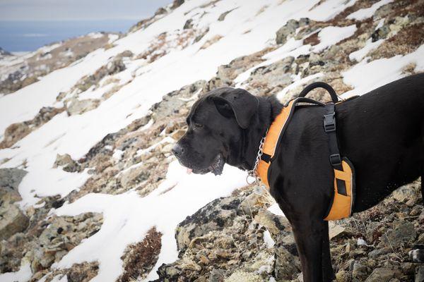 April 2024 conditions