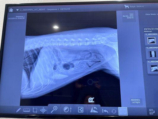 Red Rock Kids Dental