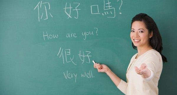 Chinese Tutoring in-person at your home/library/coffee shop or meet online!