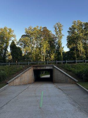 Underpass of Lower Fayetteville Road