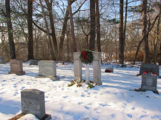 Many different types