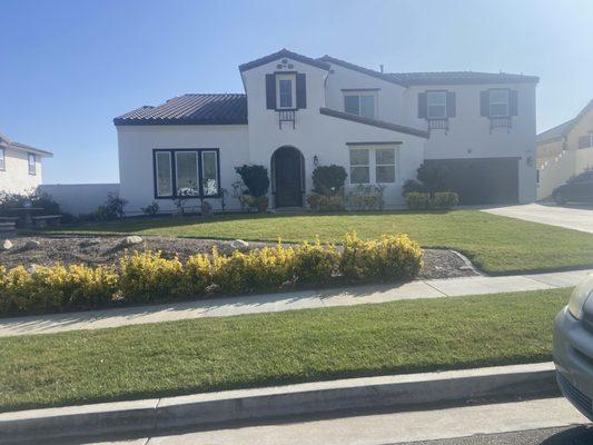 J.J. Bros Castaneda Painting