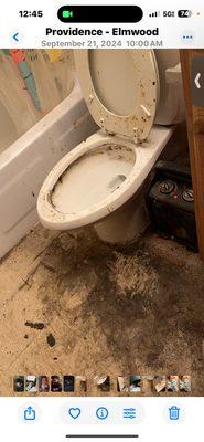 Jadday 4 Cleaning Service