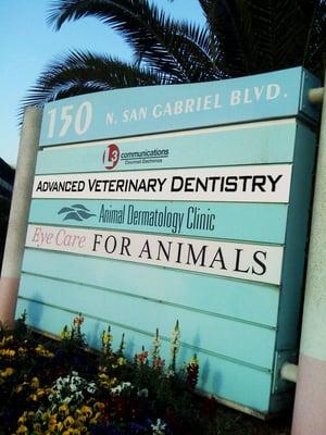 Advanced Veterinary Dentistry