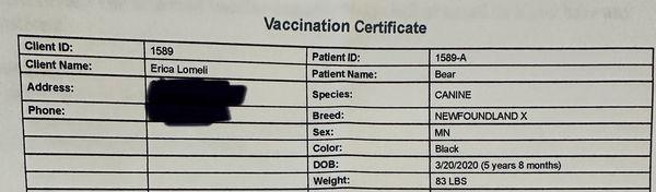 Proof he weighs 83lbs and that he is not "much larger" than what I told them.