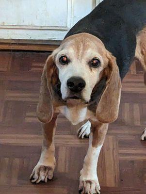 Island Time Grooming Boutique