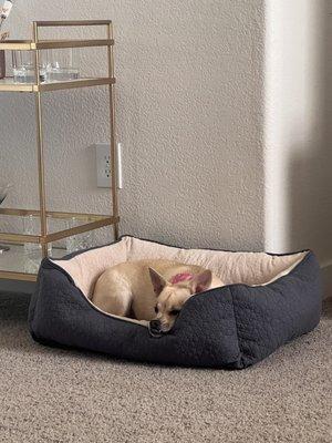 Royalty Paw Grooming