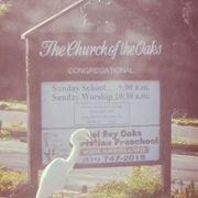 The neighborhood egret