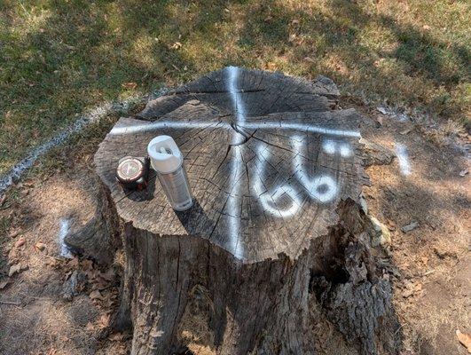 Reilly Springs Land Enhancement